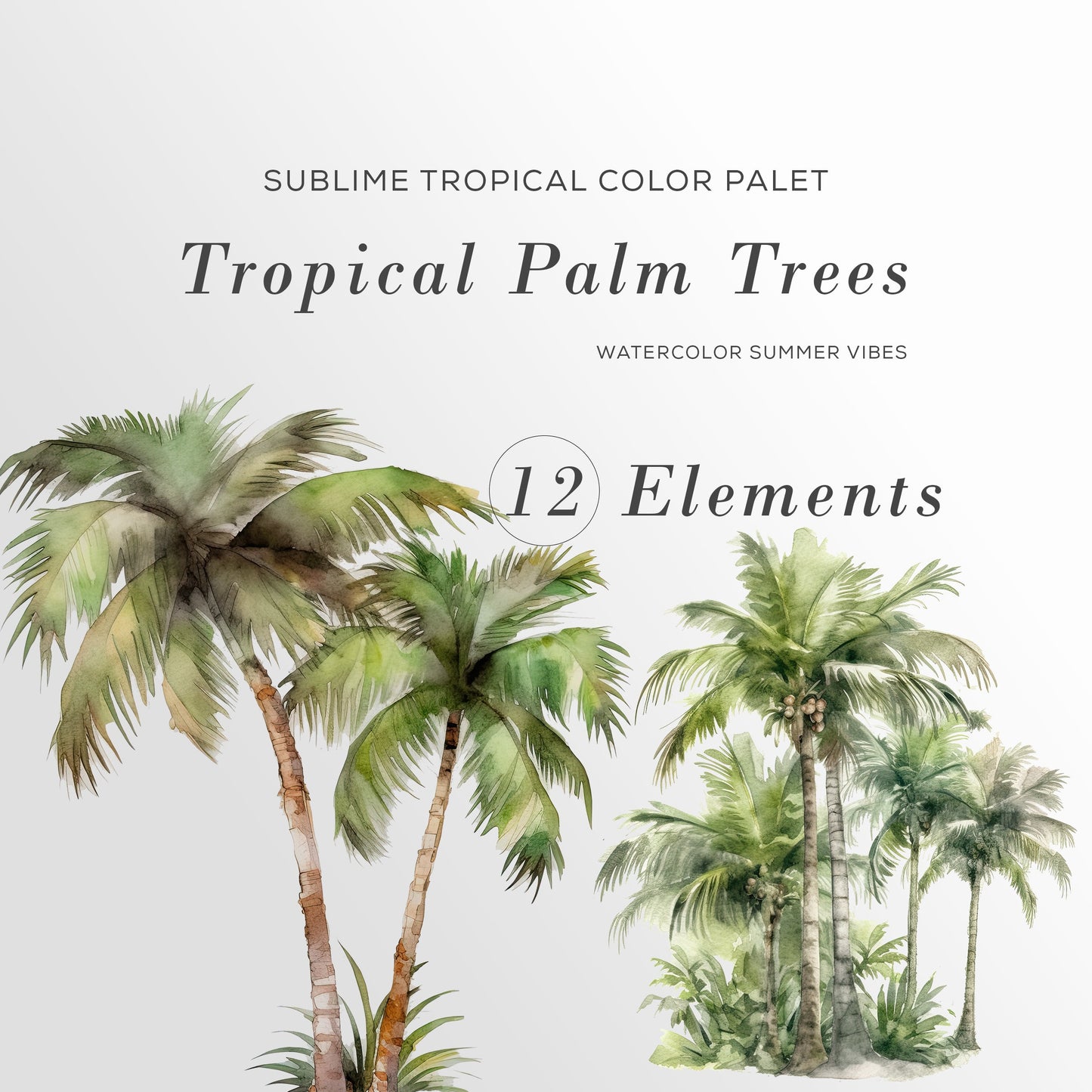 Tropical Watercolor Palm Trees, Tropical Clip art, Palm Trees, Palm Trees Clipart, Commercial Use, Palm Tree PNG Bundle Birthday Invitation