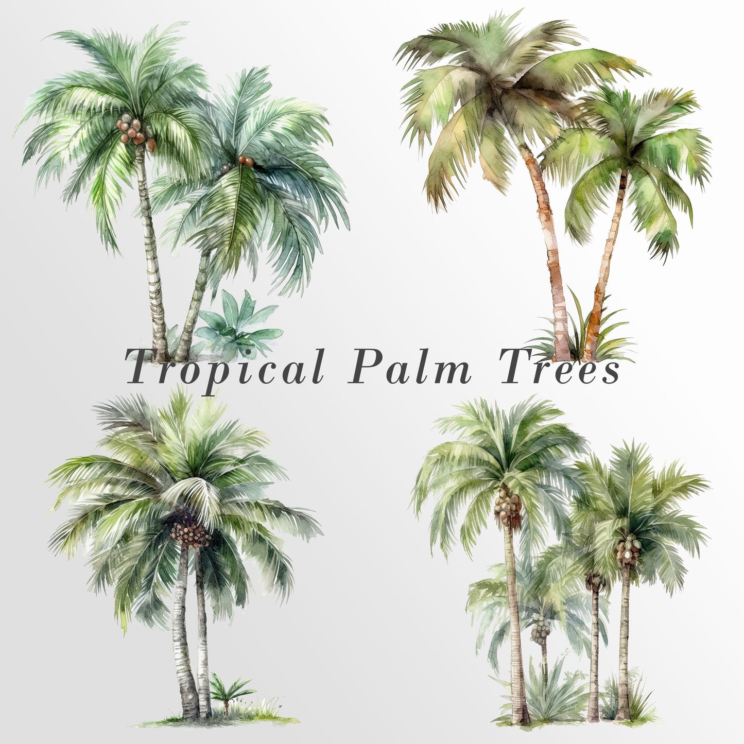 Tropical Watercolor Palm Trees, Tropical Clip art, Palm Trees, Palm Trees Clipart, Commercial Use, Palm Tree PNG Bundle Birthday Invitation