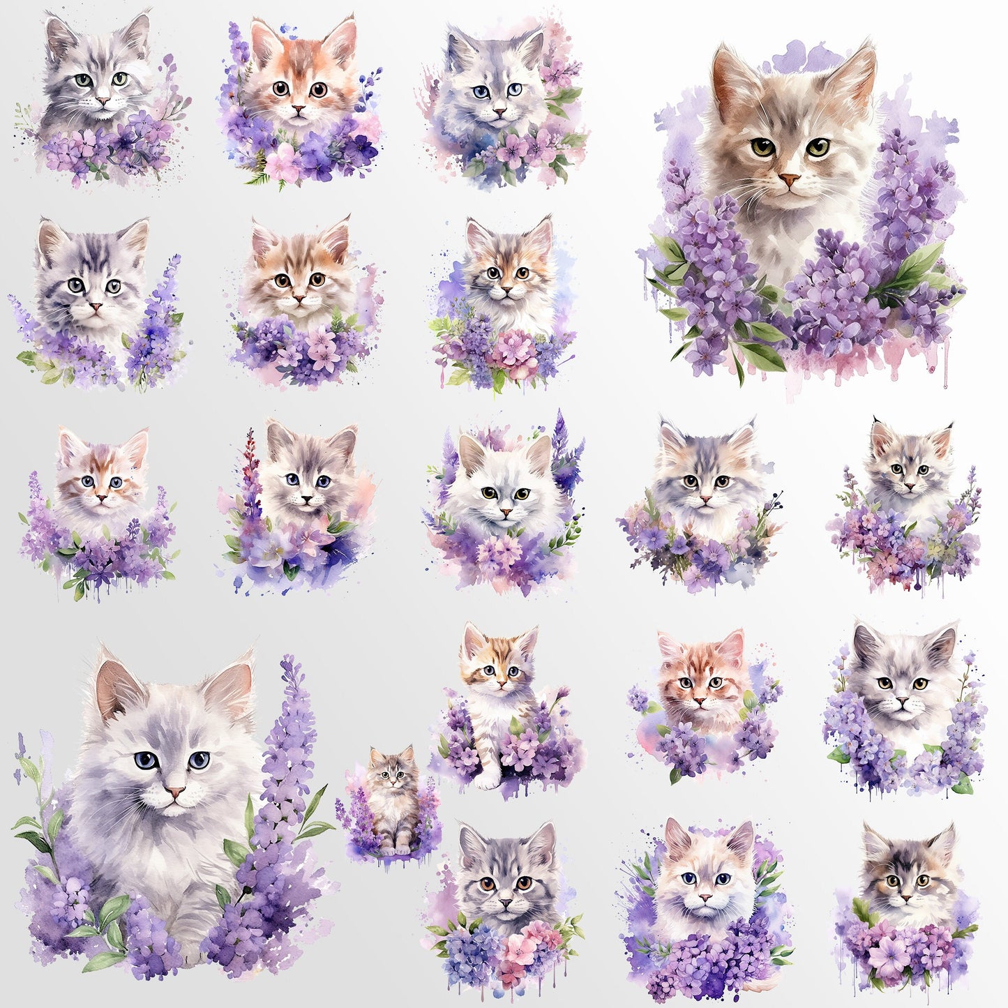 lilac watercolor floral cats, purple kitten clipart, purple flowers, PNG Bundle, commercial use, scrapbooking graphics, crafting, tumbler