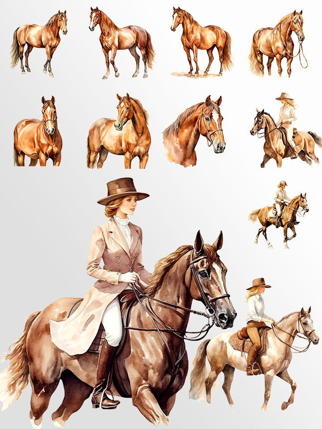 Watercolor Horses Clipart: Horse and Foal Art for Crafts and Decor | PNG Bundle | Digital Download | Sublimation files | Horse riding images