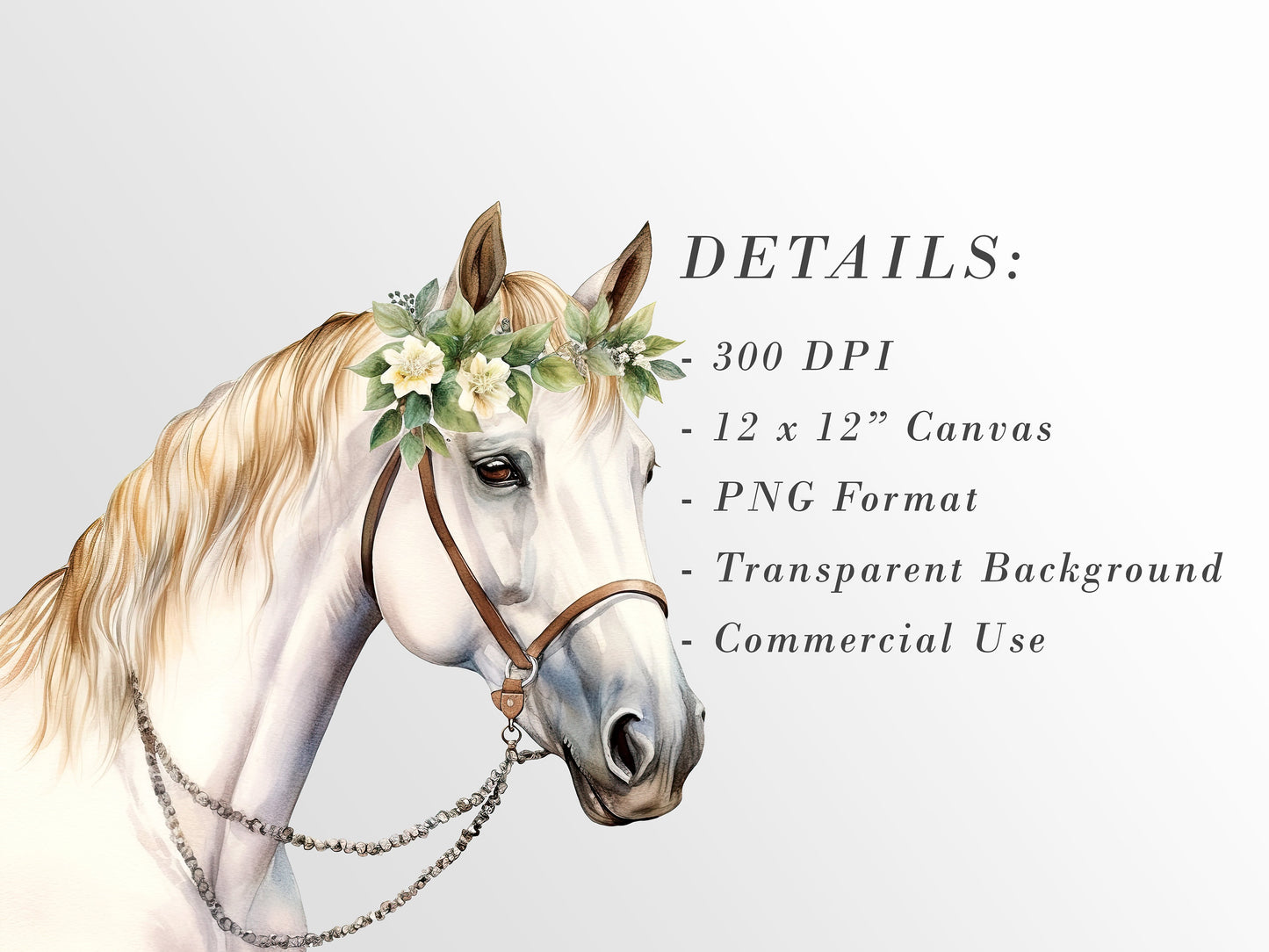 Watercolor Horses Clipart: Horse and Foal Art for Crafts and Decor | PNG Bundle | Digital Download | Sublimation files | Horse riding images