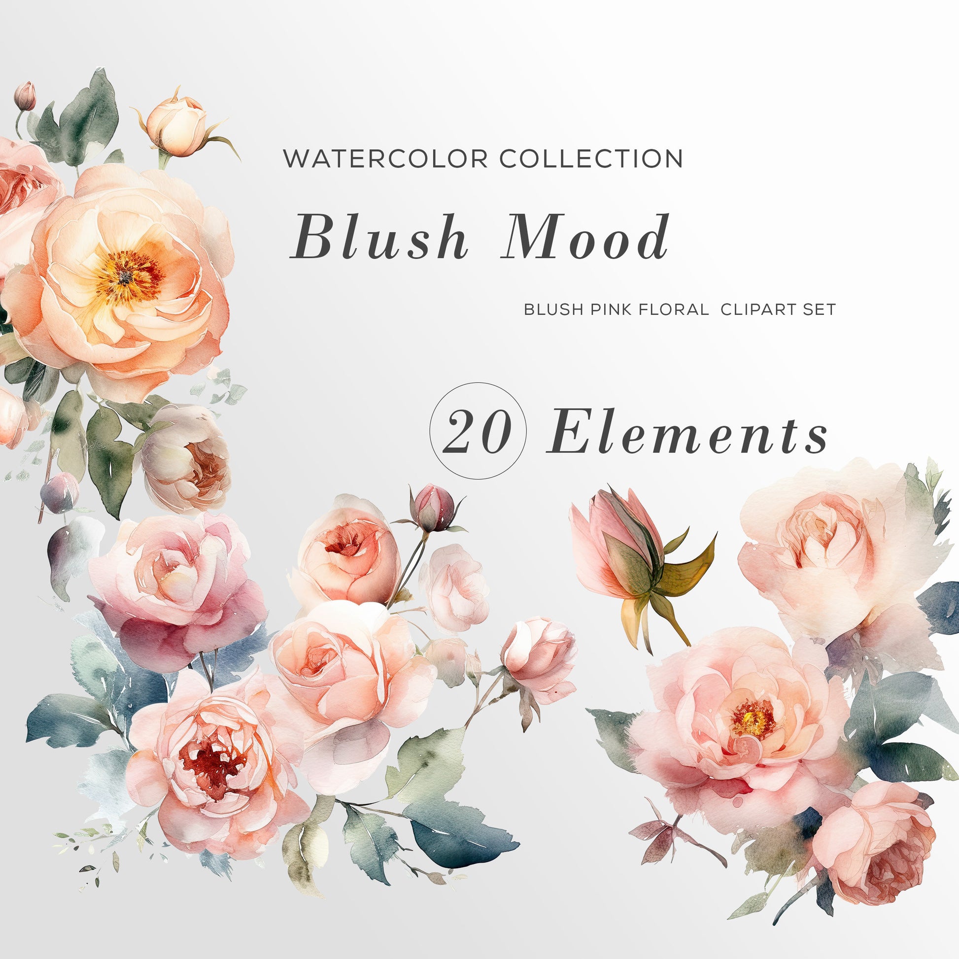 Blush Floral Clipart, Watercolor Roses Clipart, Floral Watercolor, Watercolor PNG Bundle, Wedding Clipart, Blush Roses, Premade Clipart