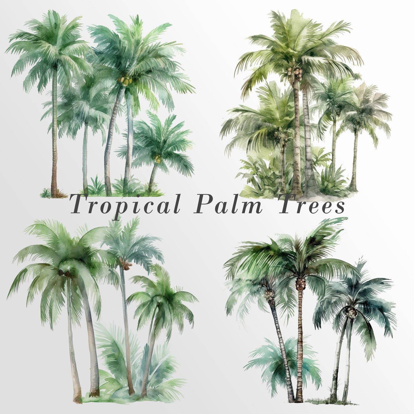 Tropical Watercolor Palm Trees, Tropical Clip art, Palm Trees, Palm Trees Clipart, Commercial Use, Palm Tree PNG Bundle Birthday Invitation