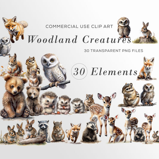Woodland Animals Clipart Watercolor, Clipart for commercial use, Transparent PNGs, birthday invitation, Hedgehog, PNG bundle, Teacher pack