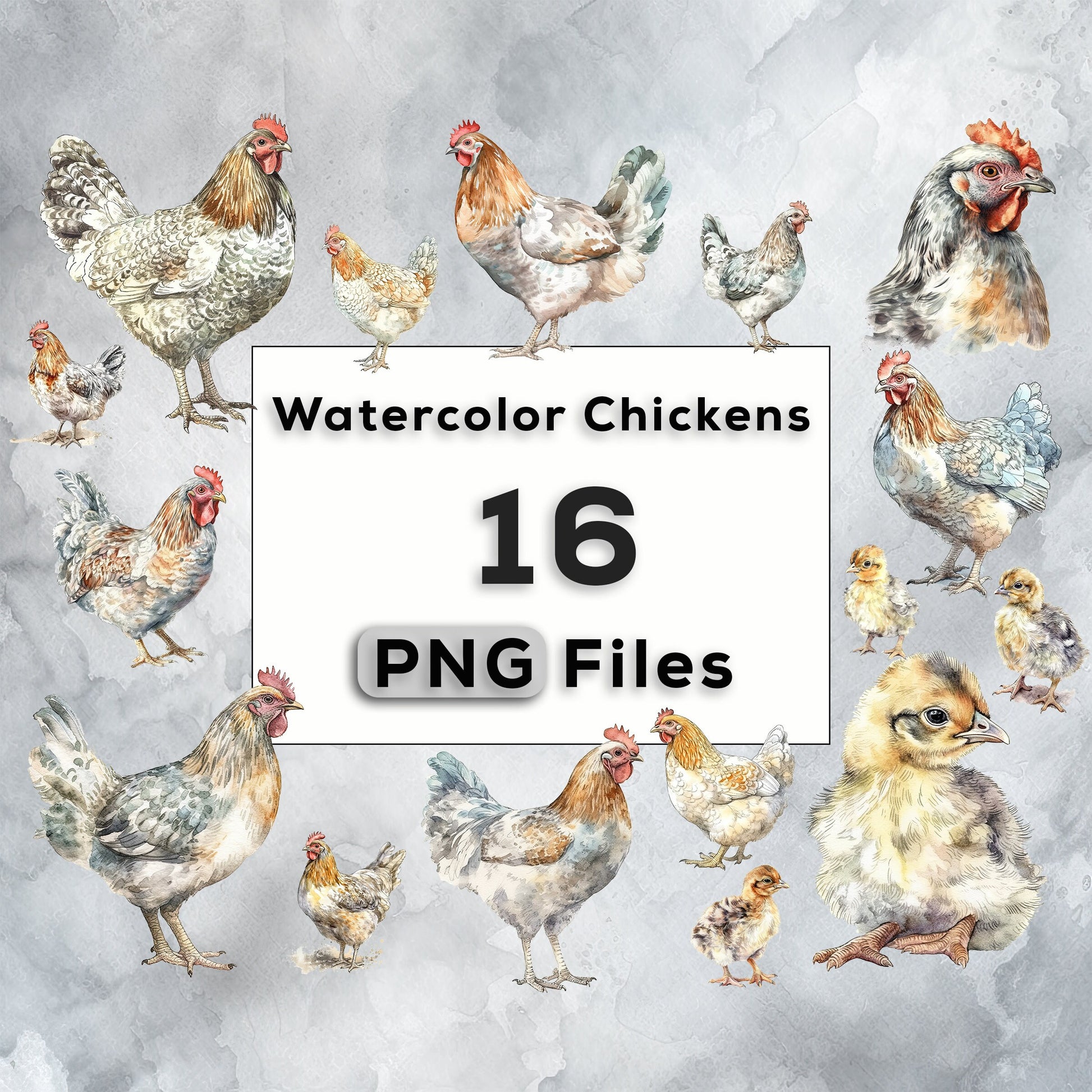 Watercolor Chickens Clipart PNG Bundle, Cute Chickens and Chicks, farm animal PNG instant download for commercial use, T-shirt sublimation