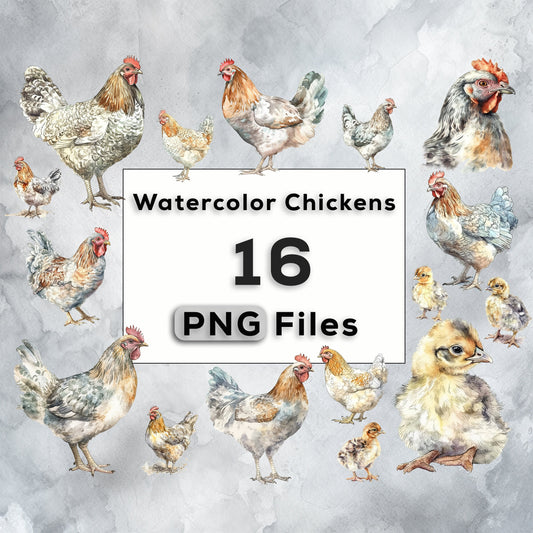 Watercolor Chickens Clipart PNG Bundle, Cute Chickens and Chicks, farm animal PNG instant download for commercial use, T-shirt sublimation