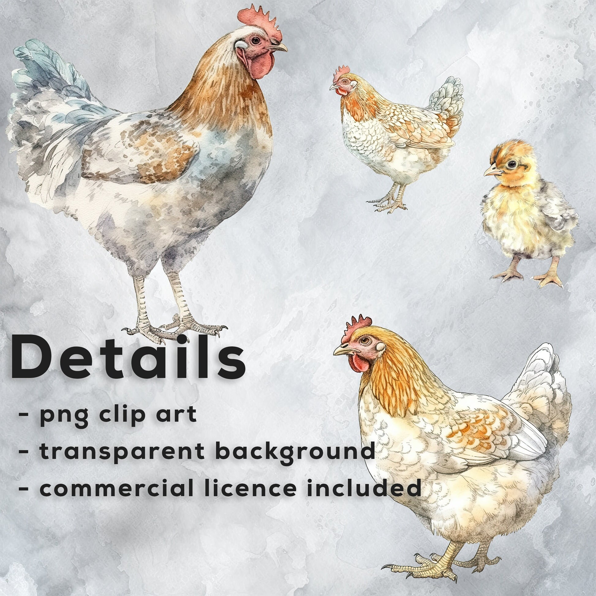 Watercolor Chickens Clipart PNG Bundle, Cute Chickens and Chicks, farm animal PNG instant download for commercial use, T-shirt sublimation