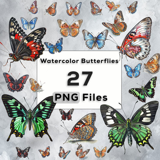 Watercolor Butterfly Clipart| Colorful Butterfly PNG Bundle| Butterfly Painting| Commercial Use| T-shirt Sublimation| Birthday Invitation