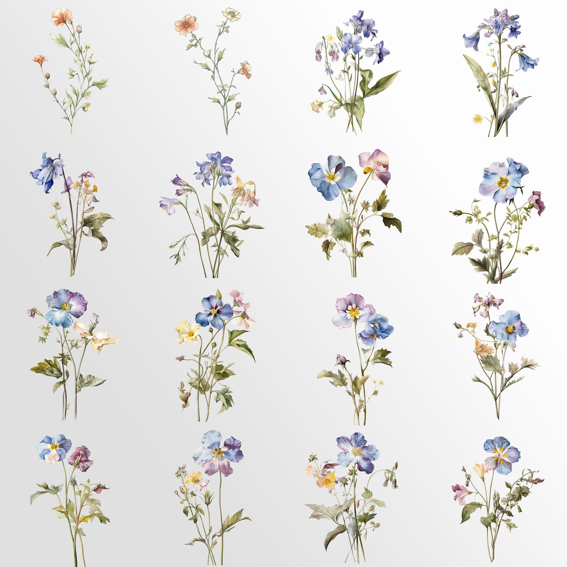 Wild Flower Watercolor Clipart, Botanical Wildflowers Clipart, Flower Arrangements, Watercolor Rustic Clipart, Elegant Blooms, Spring Meadow