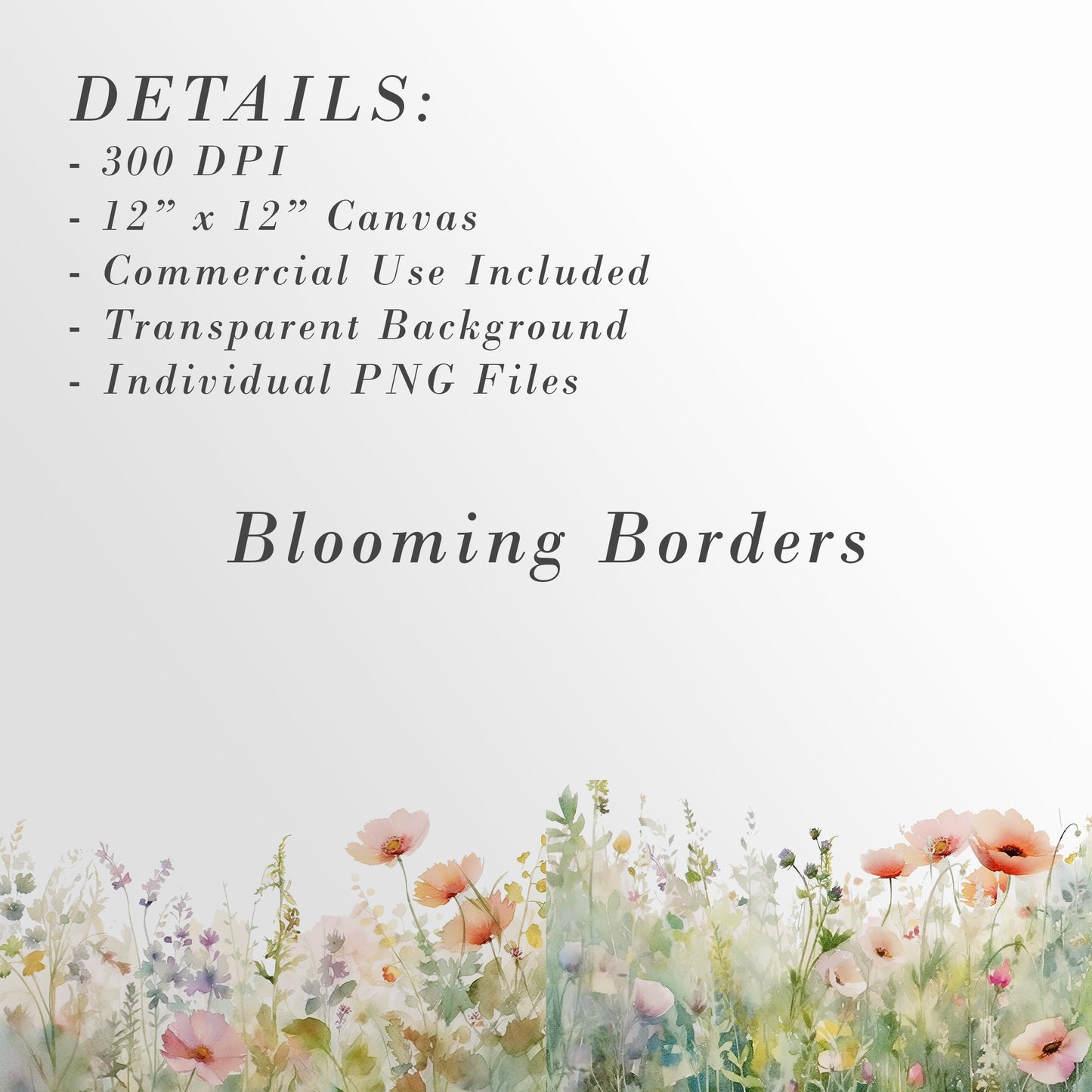 Watercolor Floral Borders, Floral Borders, Wild Flowers, Watercolor Flowers Clipart, Premade Borders Wedding Clipart, Borders Clipart, PNG