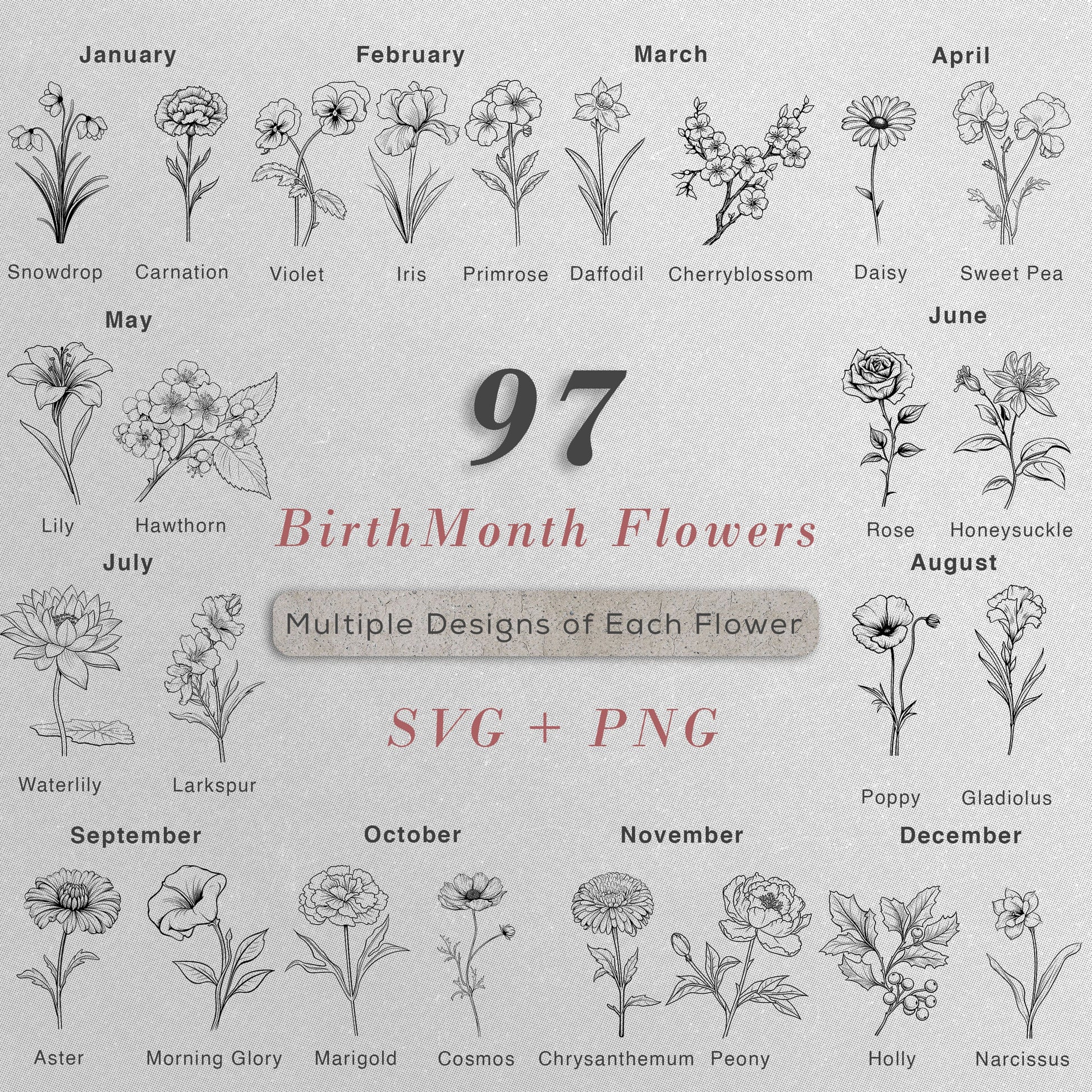 BirthMonth Svg Bundle | Flower Svg | Birth Flower PNG| Floral svg | Poppy svg | Birthday svg | svg files for cricut | tattoo svg| PNG Bundle