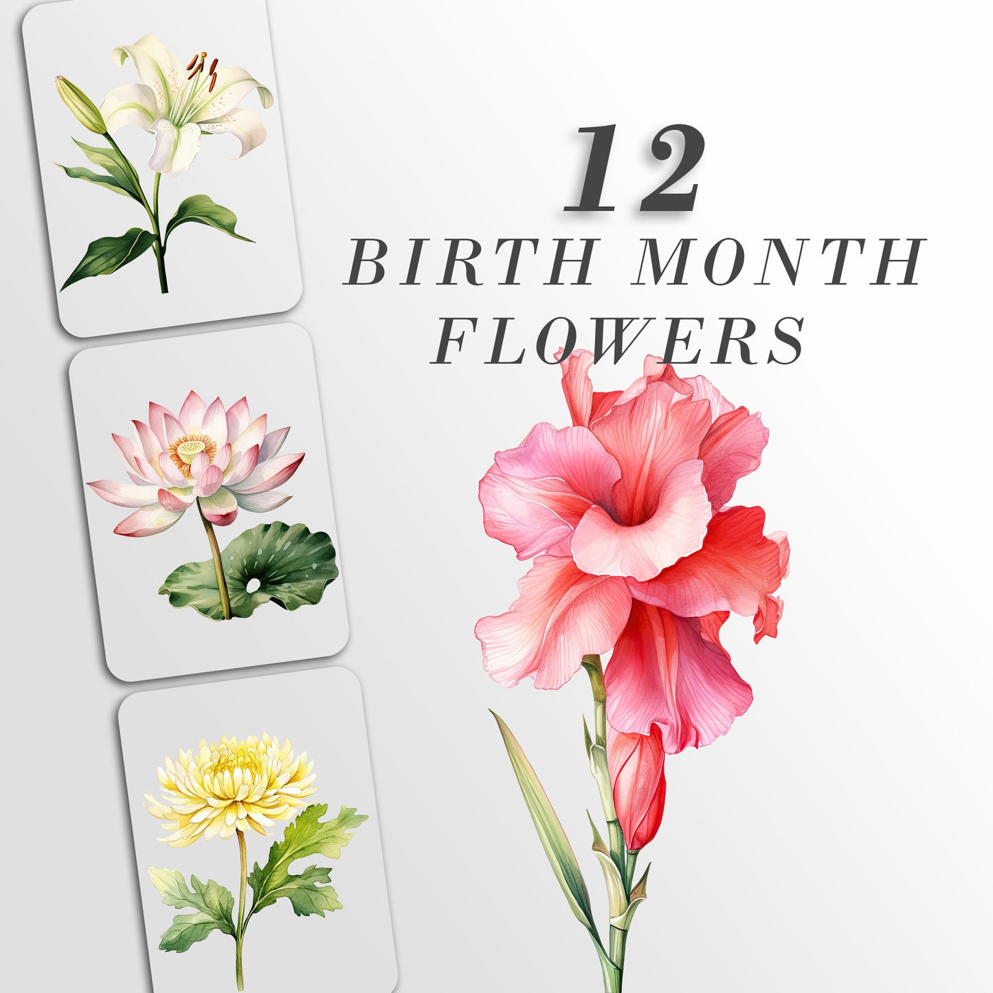 Birthmonth flowers PNG, Birthflowers svg, Monthly Flowers bouquet, Birth month name flowers svg, Floral PNG Sublime, Gift Idea For Mom