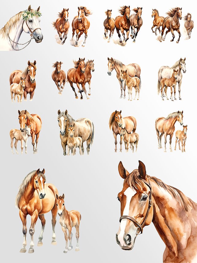 Watercolor Horses Clipart: Horse and Foal Art for Crafts and Decor | PNG Bundle | Digital Download | Sublimation files | Horse riding images