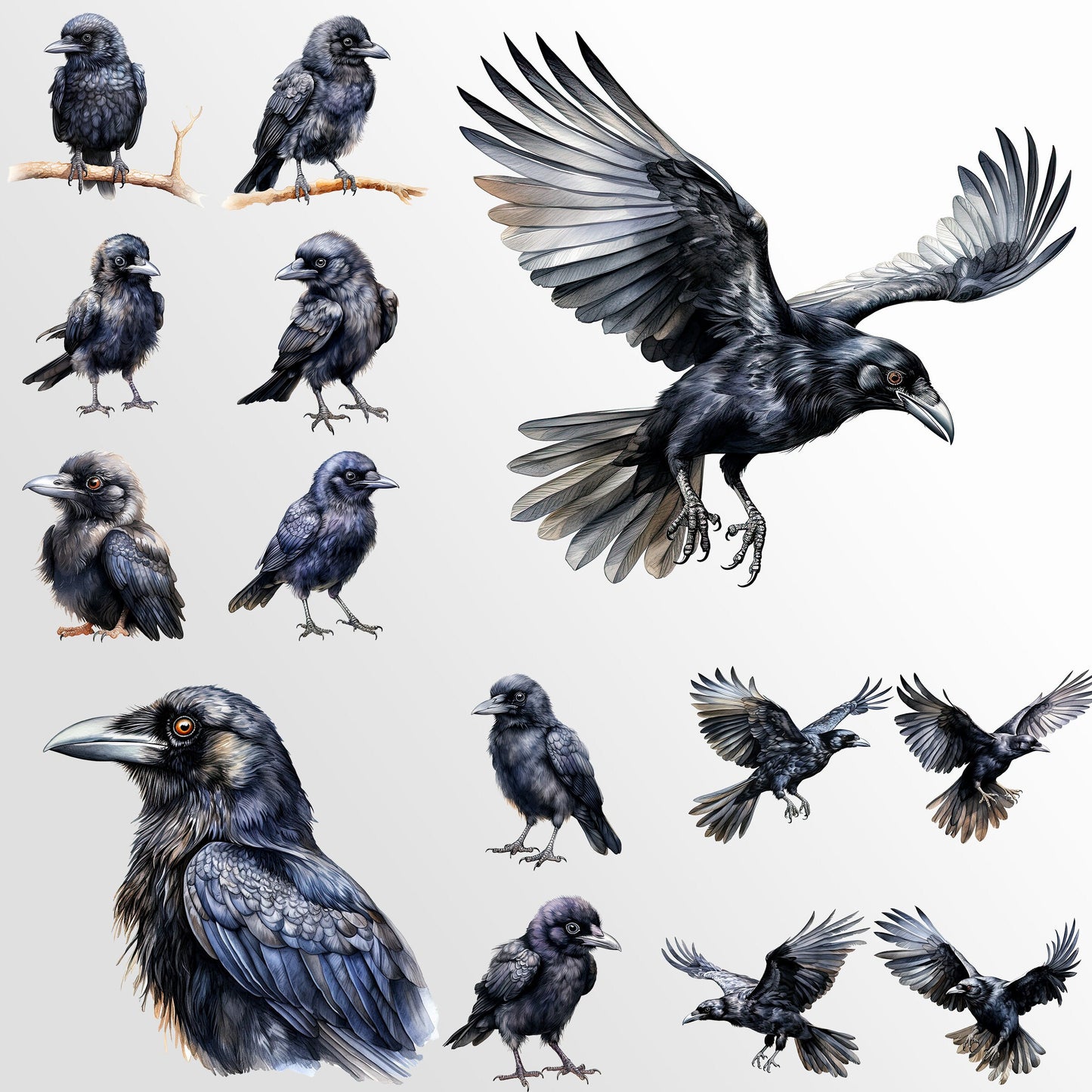 30 Crows Clipart Bundle: Halloween Art for Crafts and Decor | PNG Bundle | Digital Download | Sublimation Designs| Ephemera for Junk Journal