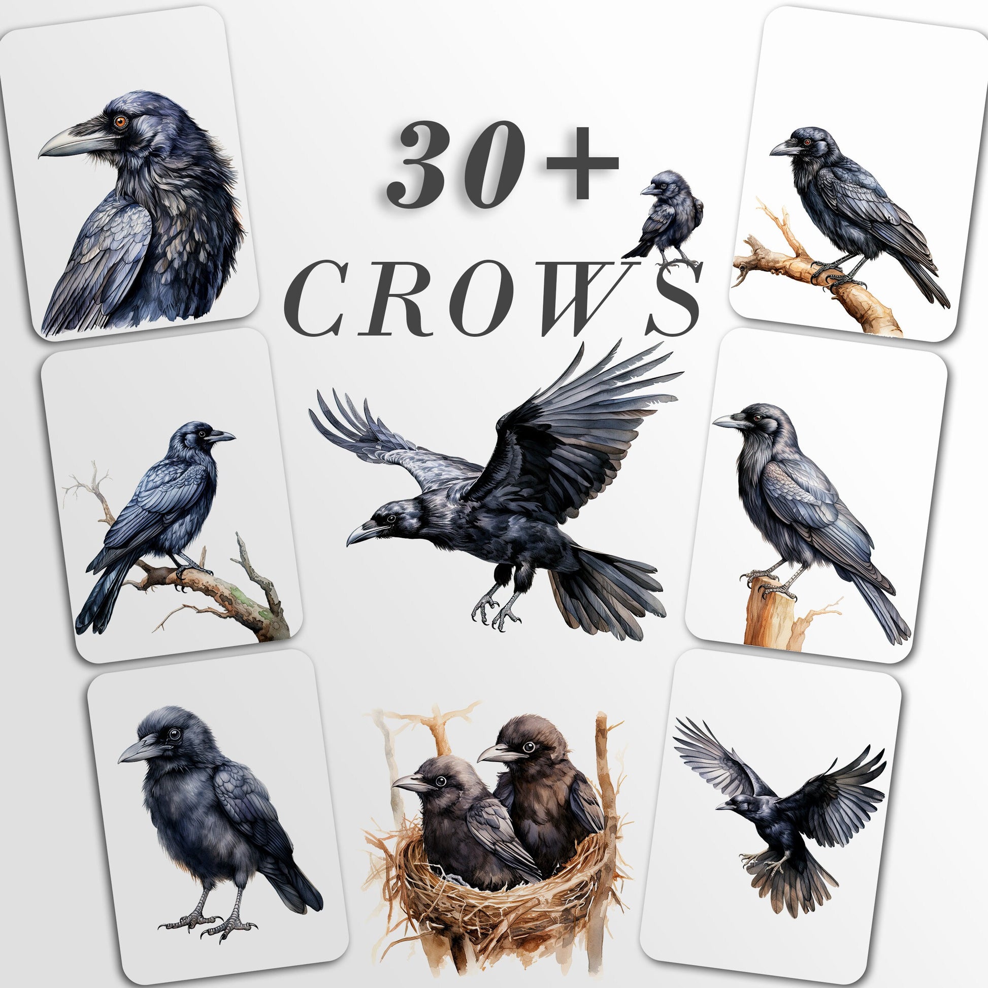 30 Crows Clipart Bundle: Halloween Art for Crafts and Decor | PNG Bundle | Digital Download | Sublimation Designs| Ephemera for Junk Journal