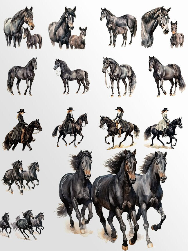 Watercolor Horses Clipart: Horse and Foal Art for Crafts and Decor | PNG Bundle | Digital Download | Sublimation files | Horse riding images