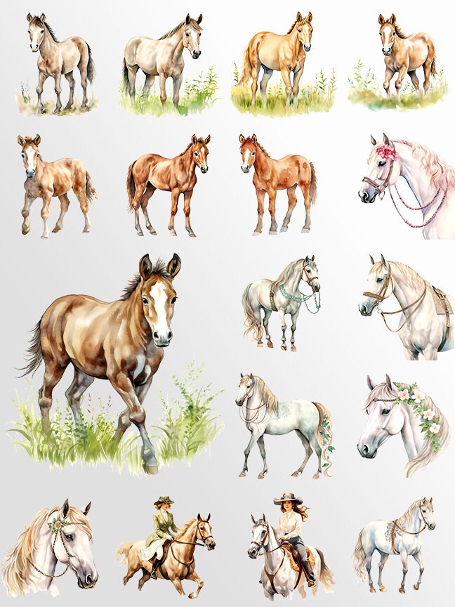 Watercolor Horses Clipart: Horse and Foal Art for Crafts and Decor | PNG Bundle | Digital Download | Sublimation files | Horse riding images