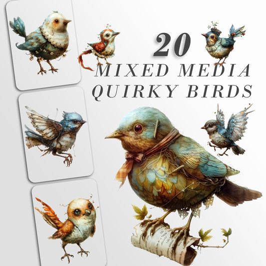 Mixed Media Birds Clipart: Quirky Birds | Whimsical Bird Graphics | Junk Journal Art | PNG Bundle| Sublimation files| Digital Illustration